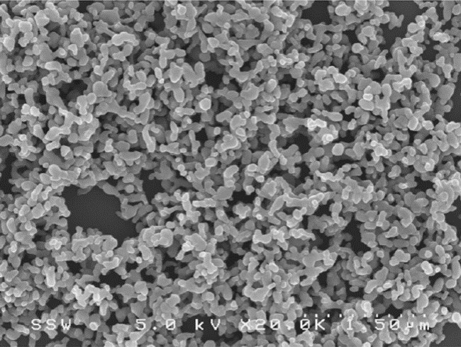 Hydroxyapatite nano crystalline bioactive